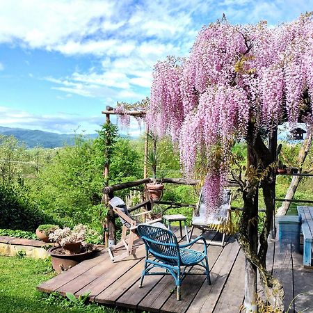 Tuscan Hills - Stonehouse, Garden & Pool ヴィッキオ エクステリア 写真