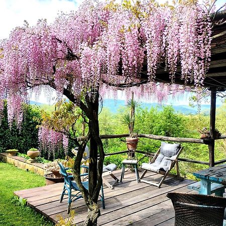 Tuscan Hills - Stonehouse, Garden & Pool ヴィッキオ エクステリア 写真