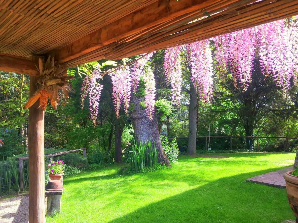 Tuscan Hills - Stonehouse, Garden & Pool ヴィッキオ エクステリア 写真