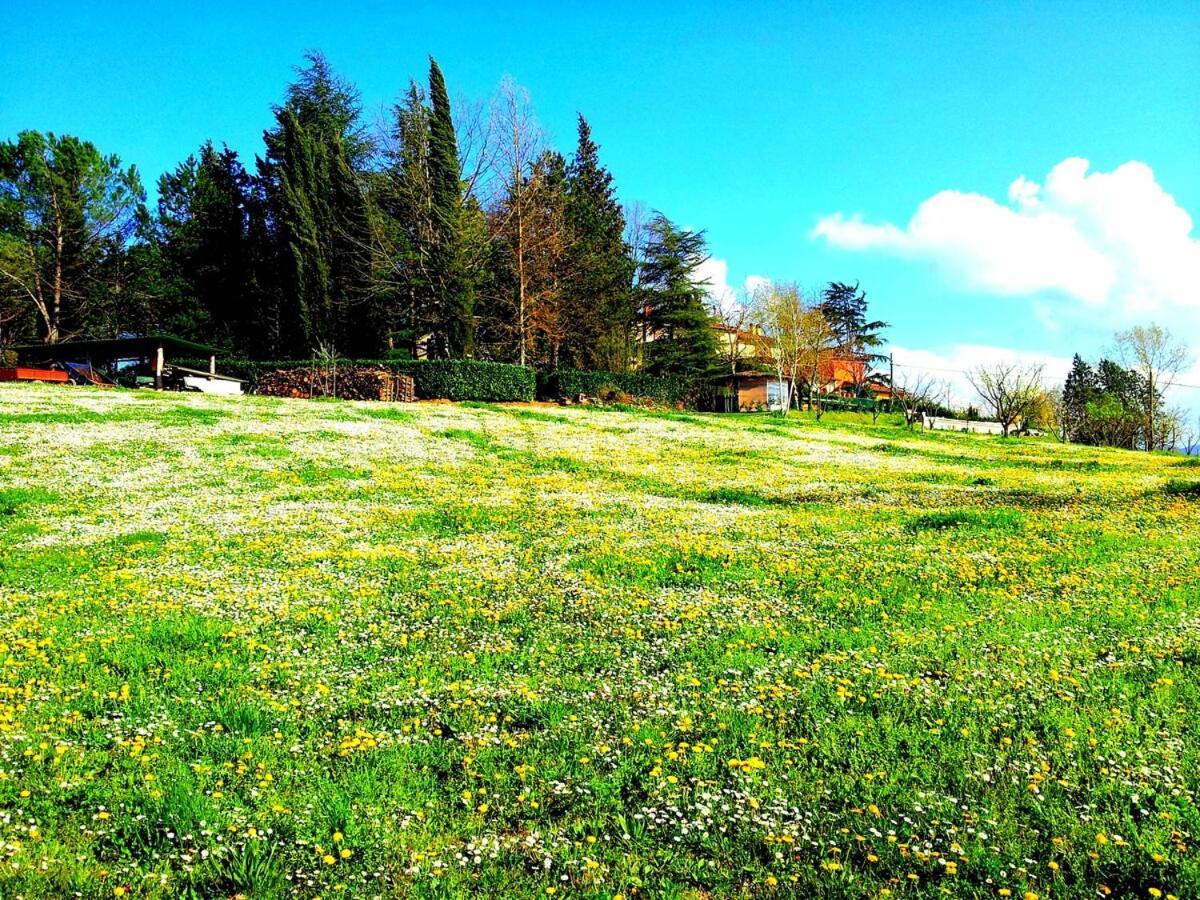 Tuscan Hills - Stonehouse, Garden & Pool ヴィッキオ エクステリア 写真