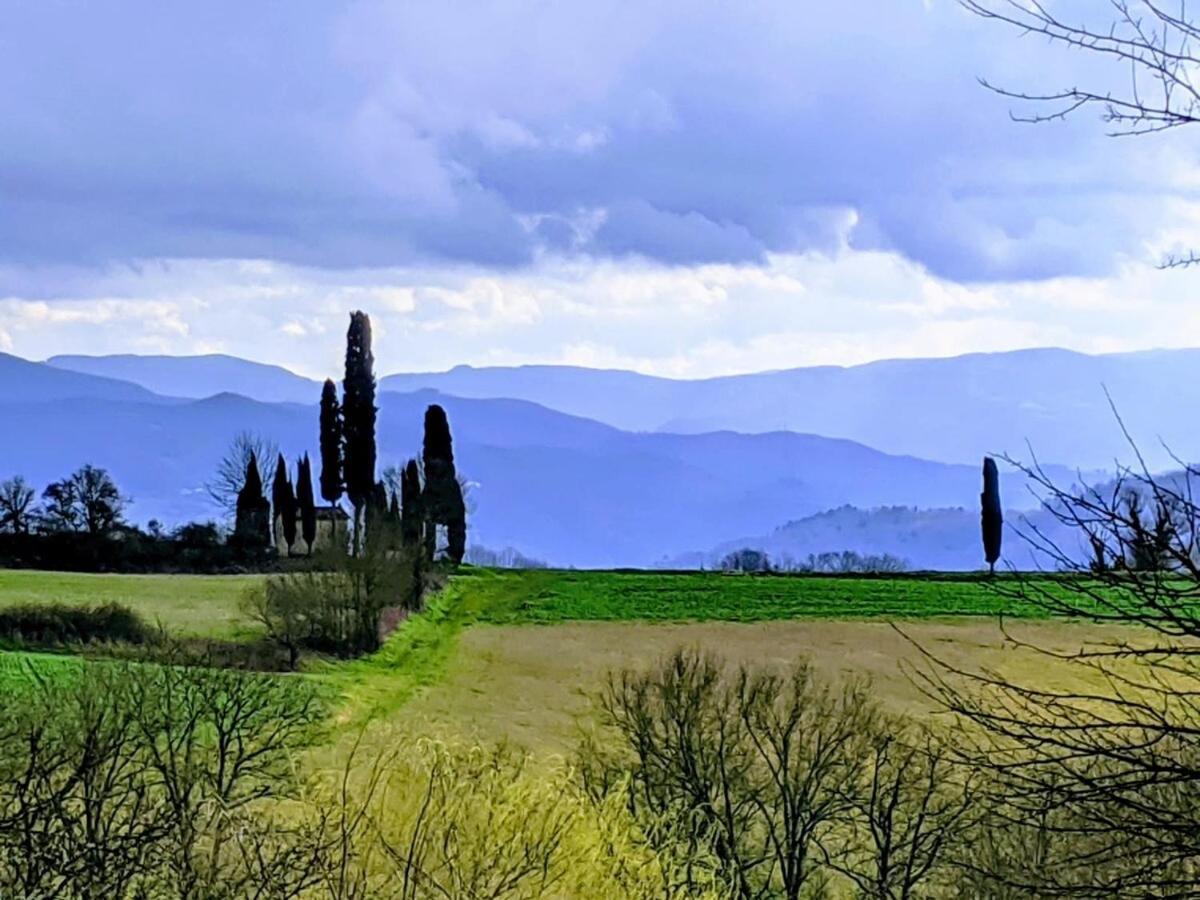 Tuscan Hills - Stonehouse, Garden & Pool ヴィッキオ エクステリア 写真