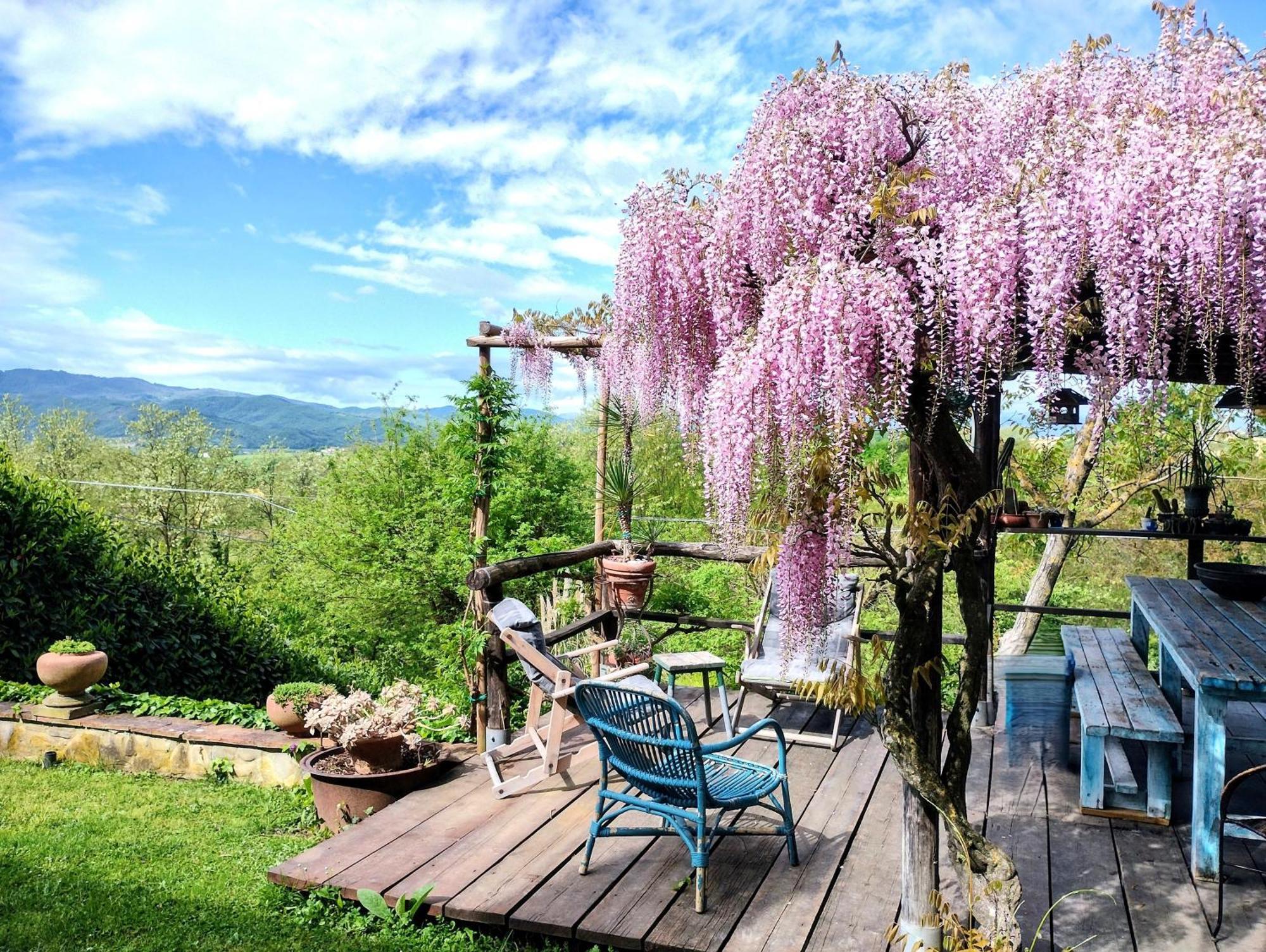 Tuscan Hills - Stonehouse, Garden & Pool ヴィッキオ エクステリア 写真