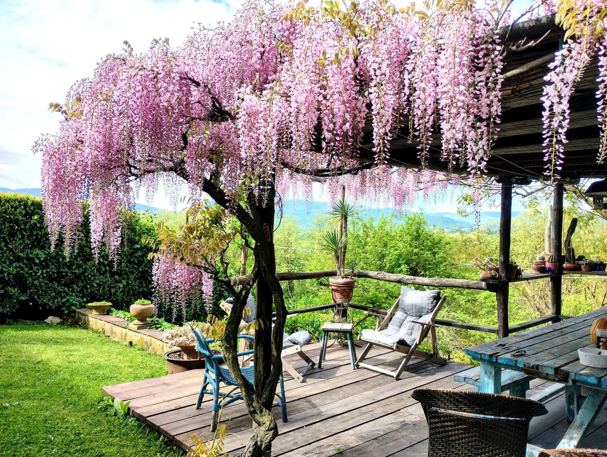 Tuscan Hills - Stonehouse, Garden & Pool ヴィッキオ エクステリア 写真